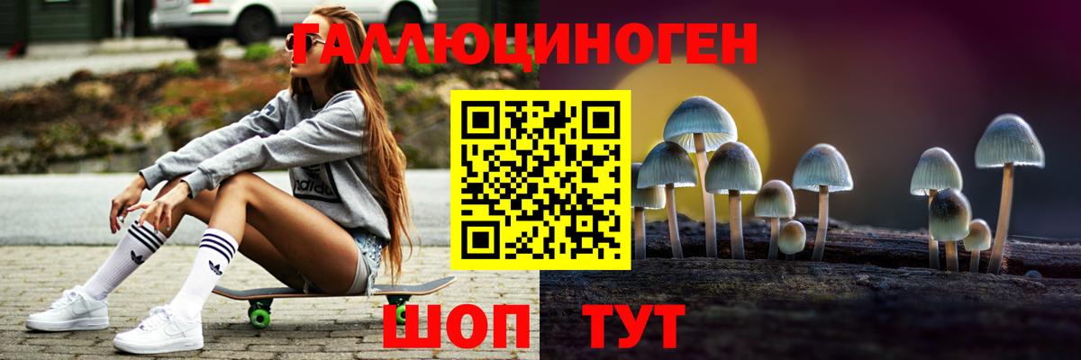 Реутов  Псилоцибиновые грибы прущие грибы  Вход с VPN 